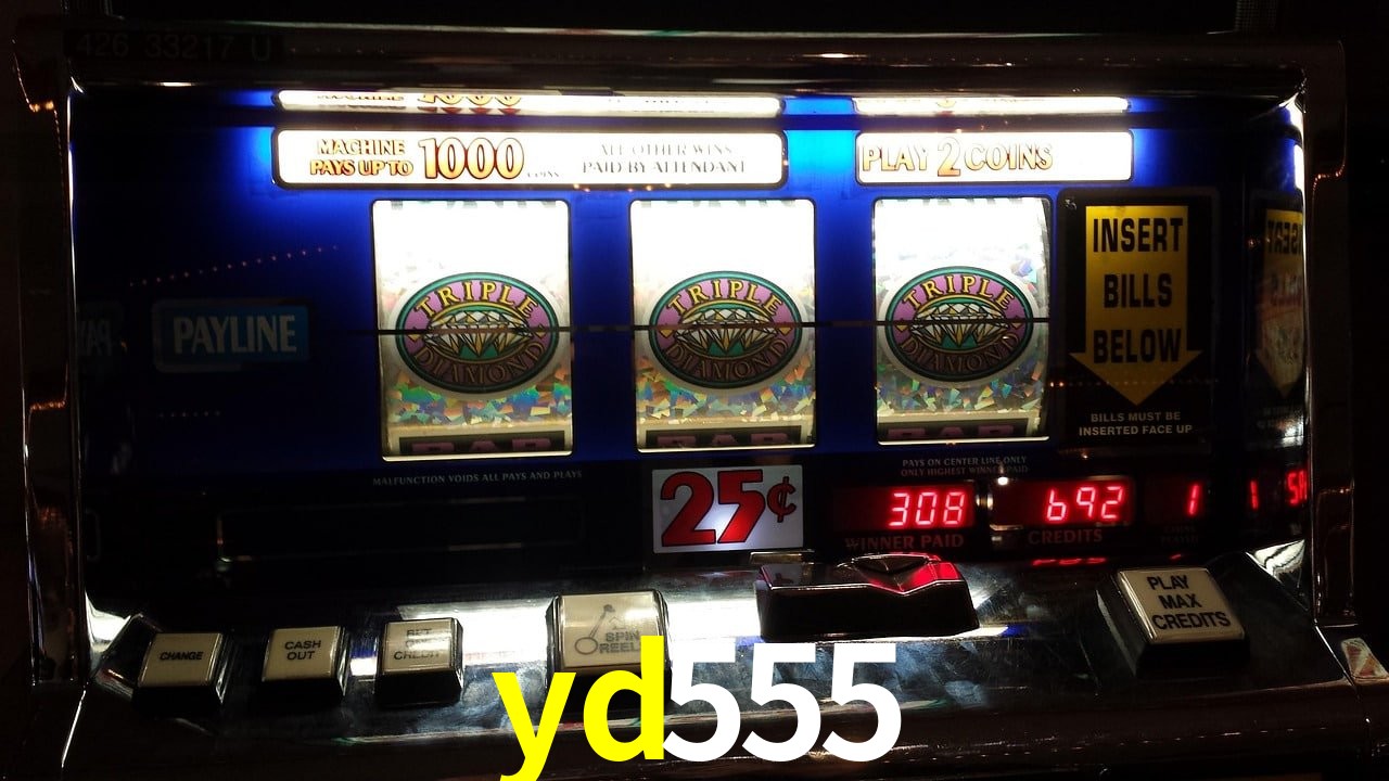 Live Casino yd555